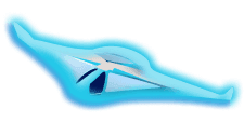 plane